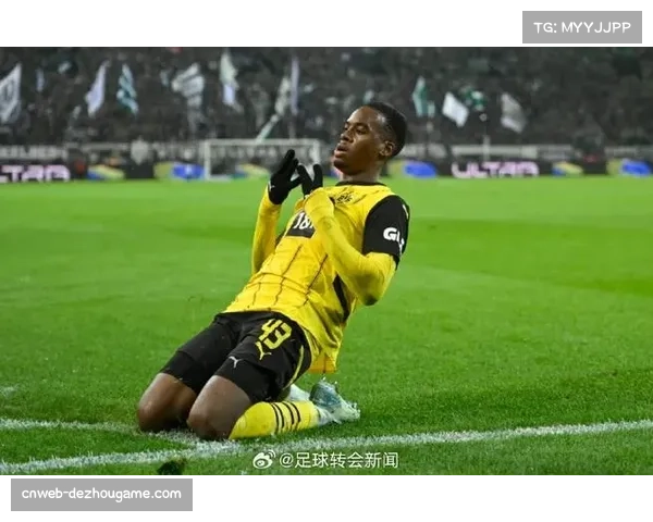 拜仁传统与创新融合，足球学校培育未来之星